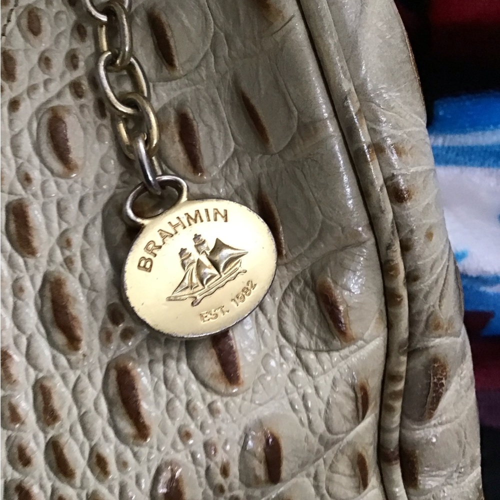Big Brahmin Bag